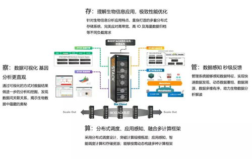 生物信息分析系统中的软件堆砌与硬件依赖及其在生物质能资源数据库信息系统中的应用